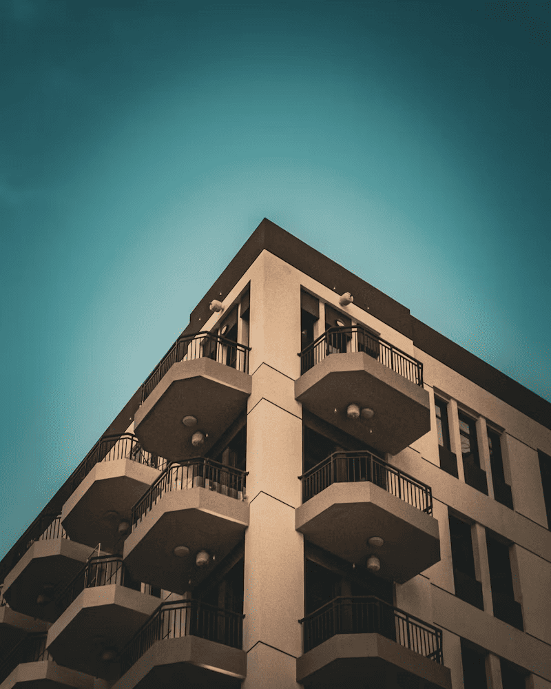 Opening a company in a free economic zone